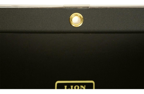 Lion Visible Record Book, Removable 25-pocket, 1 Book (185)