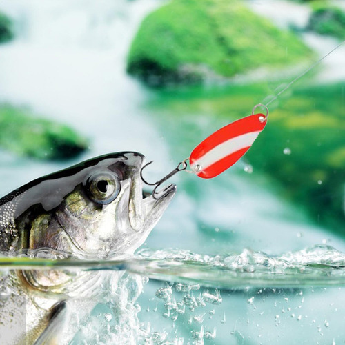 Ab Navidad, 24 Días, Navidad, Adviento, Aparejos De Pesca,