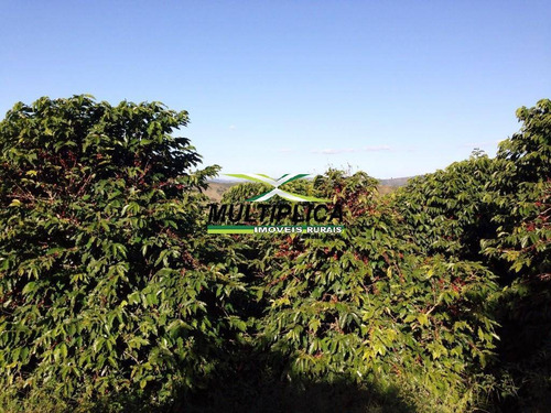 Imagem 1 de 2 de Fazenda Plantada Em Lavoura De Café Com Muita Água Irrigação - 514