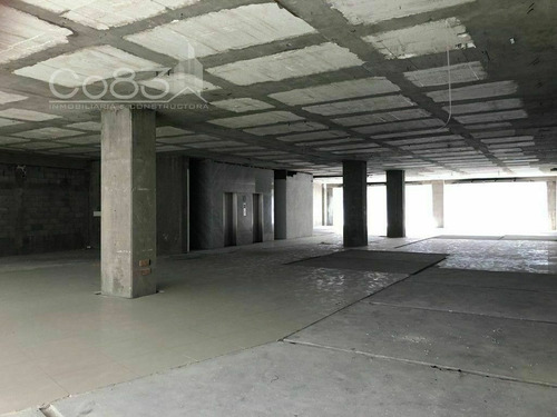Imagen 9 de 29 de Renta - Oficina - Hamburgo - 520 M2 - Piso 3