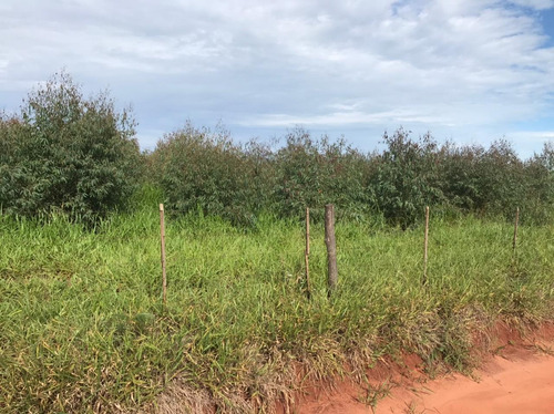 Imagem 2 de 6 de Arrendo 60 Hectares - Regiao De Arealva - Para Plantio