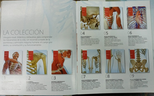 Imagen 2 de 10 de El Cuerpo Humano En Accion * 28 Tomos * Completo * Dk *