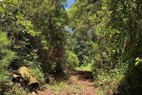 Imagen 14 de 22 de Venta De Terreno En Valle De Bravo Con Desarrollo De Rancho
