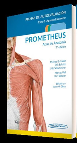 Prometheus Atlas De Anatomia Fichas De Autoevaluacion - Aa.v