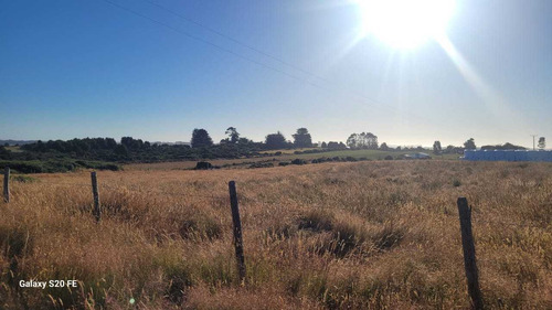 Vive En El Campo, Parcelas En Maullín. (73358)