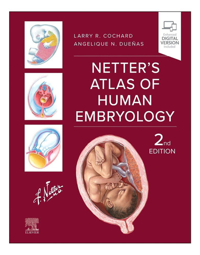 Libro: Atlas Netterøs Of Human Embriology (netter Basic)