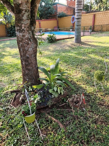 Imagen 9 de 22 de Alquiler De Casa Y Departamento Por Día En Puerto Iguazú, Mínimo 3 Noches.