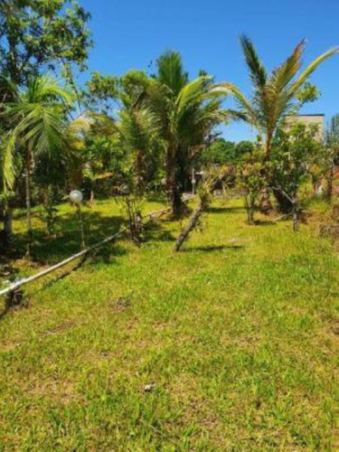 Imagem 20 de 24 de Mini Chácara No Bairro Sítio Velho, Em Itanhaém, Com Tanque De Peixes Com Mais De 100 Tilápias, Quarto De Dispensa, Poço Artesiano, Fogão A Lenha E Vaga Para 02 Automóveis Ref: 9544/ac