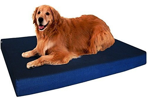 Dogbed4less Memoria Ortopedica Cama De Perro De Espuma Para