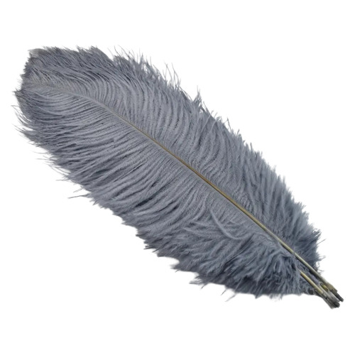 2 Piezas Plumas Avestruz Sueltas 35-40cm Eventos Largas Gris