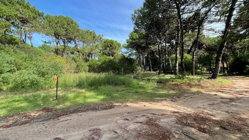 Imagen 7 de 16 de Lote Venta Z/ Norte Pinamar - Lote 11