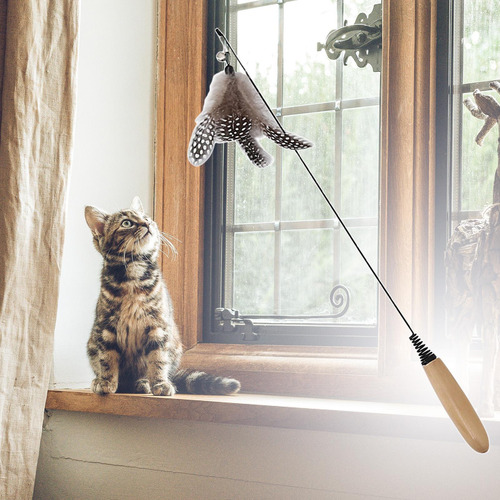 Juguetes Para Gatos Suministros Para Mascotas Juguete Teaser