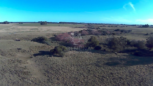 Imagen 18 de 28 de Venta Campo Ideal Para Fraccionar En Chacras Codigo 6003 - Las Garzas