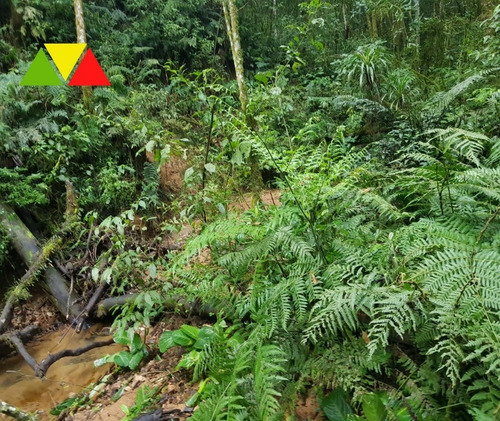 Imagem 12 de 22 de Chácara Serrinha - Ch00085 - 34982956