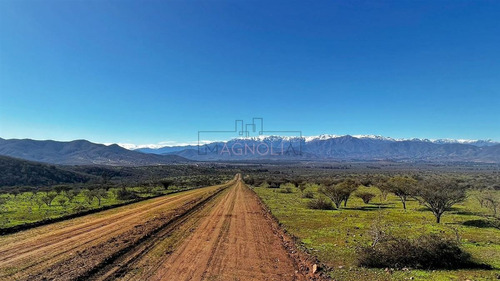 Sitios En Venta En Catapilco, Comuna De Zapallar
