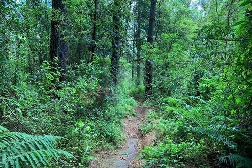 Imagen 6 de 22 de Venta De Terreno En Valle De Bravo Con Desarrollo De Rancho