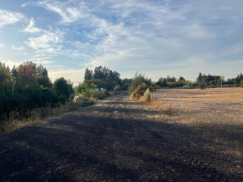 Terreno Industrial En Venta En Curicó; Secto Montaña De Teno