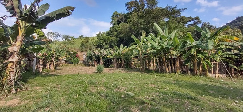 Imagem 9 de 26 de Juquiá/oportunidade/chácara Rica Em Água E Área De Plantio/ref:05354