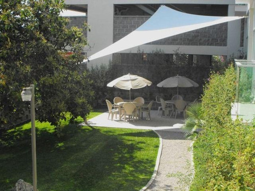 Imagen 25 de 29 de Renta Departamento En Planta Baja Con Internet Loft Triumph Tower