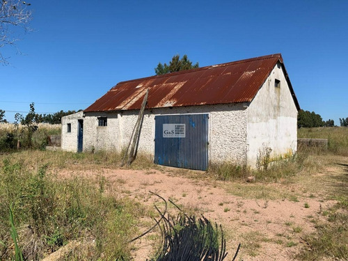 Imagen 4 de 11 de Venta De Chacra 5 Ha En Montevideo Rural