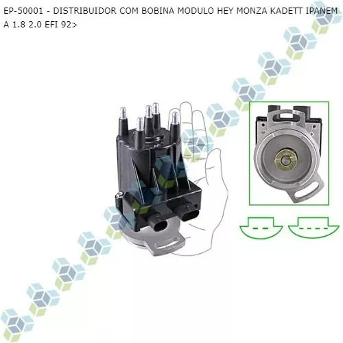 Monza Kadett Efi 1 Bico Modulo Rei Rey Hei Original Delphi