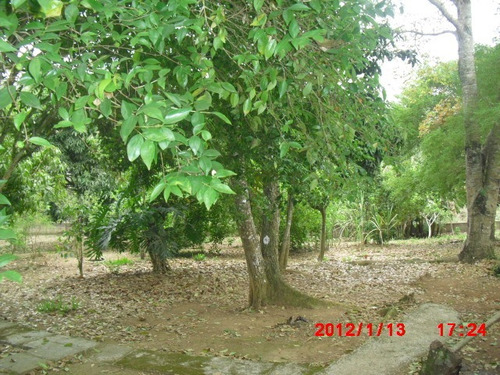 Chácara No B/ Cachoeira Do Gabriel