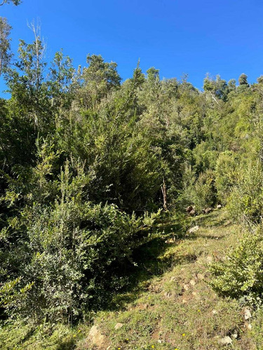 Campo Con Orilla Rio Navegable (67058)