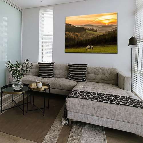 Cuadro Decorativo Canvas Paisaje Caballo En La Pradera