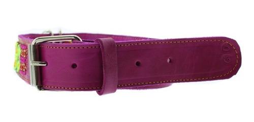 Collar Para Perro 6 Piezas 20cm 40cm 45cm 60cm 65cm