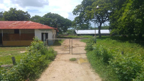 Imagen 5 de 27 de Se Vende Finca Hacienda En Estado Zulia, Ml