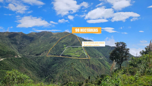 Terreno Para Turísmo O Crianza De Ganado.