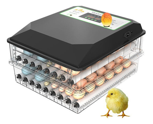 Incubadora De 64 Huevos Importada Automatica 