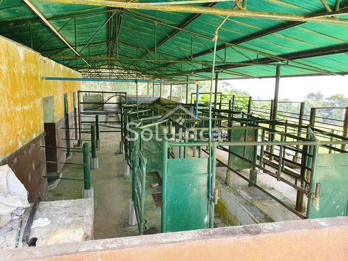 Imagen 26 de 30 de Amplia Finca En Venta Mérida, Chiguará