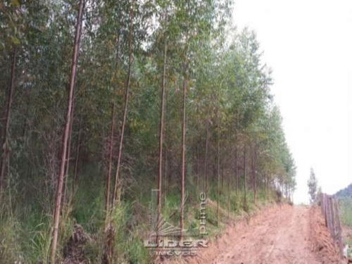 Imagem 3 de 6 de Terreno Estiva Do Agudo Bragança Paulista Sp - Js8556-1