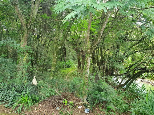 Imagem 10 de 19 de Área À Venda, 5053 M² Por R$ 1.350.000,00 - Tingui - Curitiba/pr - Ar0001