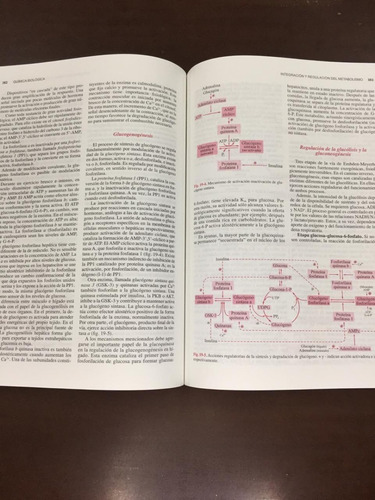 Imagen 8 de 9 de Quimica Biologica 10° Edicion - Blanco