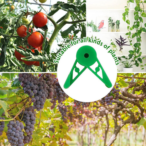 L Clipes De Treinamento De Plantas 20 Peças Clipes De