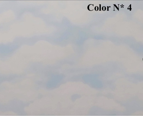 Cartulina Fantasia Doble Faz Pingüino Nubes X 2 Unidades