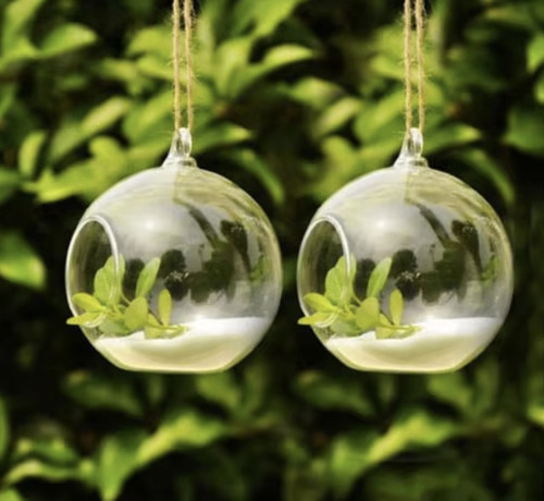 Set De 4 Floreros Esféricos De Vidrio Para Plantas Y Flores.