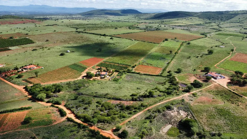 Oportunidade Única! Sítio De 12 Hectares Porteira Fechada -