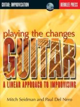 Playing The Changes : Guitar - Paul Del Nero