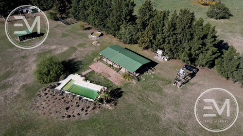 Venta Cabaña Sobre Gran Fracción De 4 Lotes Presidente Perón