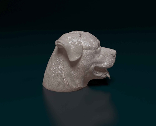 Imponente Cabeza De Rottweiler: Decoración Única