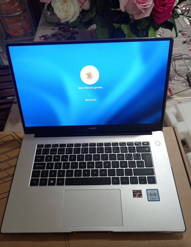 Notebook Huawei Matebook D15 Ryzen 7 16gb+512gb Gris (Usado)