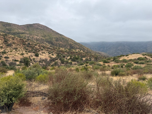 Vende 4 Parcelas De Dos Hectareas En Camino Colliguay Quilp