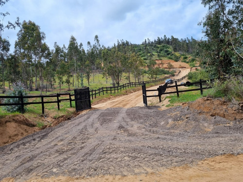 Vendo Parcelas A 20 Kms. Aproximadamente De Peralillo
