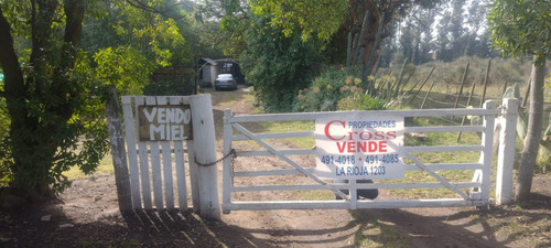 Quinta En Venta En Mar Del Plata