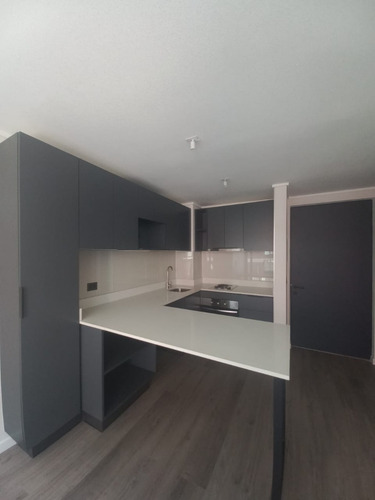 Hermoso Departamento En Arriendo Barrio Brasil Codxy10303