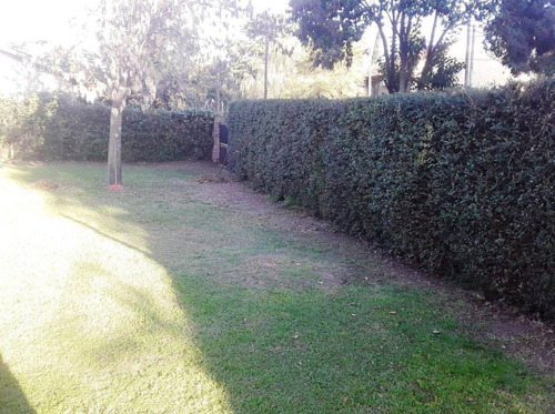 Imagen 6 de 8 de Terreno - Pilar