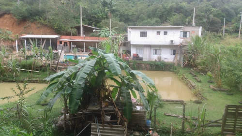 Imagem 12 de 14 de Chácara 2.500m² Em Miracatu-sp